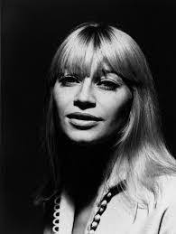 Danny Dicarlo's Instagram, Twitter & Facebook