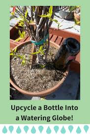 Most tomato issues are fixable by using ground irrigation, giving proper nutrition, and keeping the fruit and parts of the plant off of the ground. Make Your Own Recycled Plant Watering Globe In Minutes Dengarden