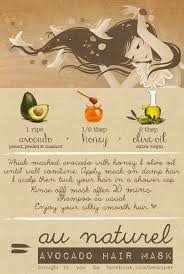 B E A N I P E T Diy Tuesday Avocado Hair Mask Hair Mask Recipe Avocado Hair Mask Avocado Hair