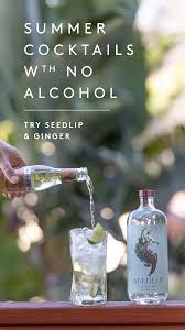 Lower Your Alcohol Consumption With This Botanical Blend In 2020 Alcoholic Drinks Alcoholic Cocktails Alcohol Free Drinks