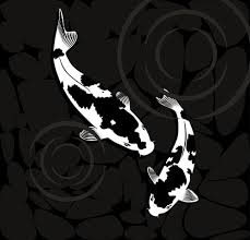 View over coral reef scene. What You Should Know About Black Colored Koi Fitz S Fish Ponds