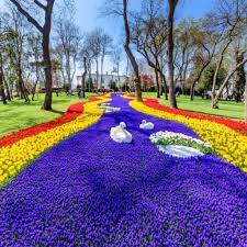 Pagi ini setelah sarapan, anda akan diajak ke emirgan park; 5 Tempat Terbaik Melihat Festival Taman Bunga Tulip Di Turki
