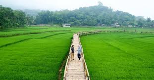 Mulai wisata alam, wisata kuliner, tempat bersejarah hingga even menarik selalu menjadi dambaan para traveller di kota manapun. 20 Tempat Wisata Romantis Di Jogja Dengan Hawa Sejuk Pemandangan Keren Dan Murah
