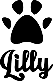 Tym razem nie warto było zaufać publiczności. The Yellow Dog Project Czyli Co Oznacza Zolta Wstazka Przywiazana Do Smyczy Lub Obrozy Psa Blog