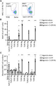 Maybe you would like to learn more about one of these? Activation And In Vivo Evolution Of The Mait Cell Transcriptome In Mice And Humans Reveals Tissue Repair Functionality Sciencedirect