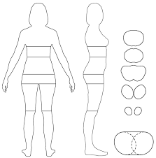 We did not find results for: Figure S2 Analysis Of Female Body Shape Left To Determine Download Scientific Diagram
