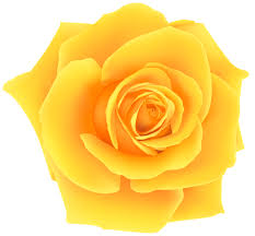Yellow Rose Png Clip Art Image Rose Clipart Flower Clipart Yellow Roses