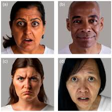 Measuring Emotion Perception Ability Using AI-Generated Stimuli:  Development and Validation of the PAGE Test