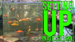 Inverted Fish Tank In Pond Tutorial Cheap Set Up And Very Easy To Do F Cheap Aquariums Fish Tower Fish Tank