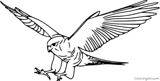 When citing a website the general format is as follows. Falcon Coloring Pages Coloringall