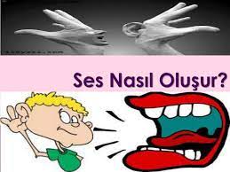 Titreşim bir nesnenin ileri geri hareketidir. Ppt Ses Nasil Olusur Powerpoint Presentation Free Download Id 3445250