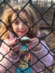 Found at Adam Ricci park