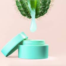 If you don't have anywhere to work that does not have a breeze you can use a clean box or even a rubber made box on it's side. Cactus Infused Skin Care Products Are Beauty S Biggest Summer Trend Hellogiggles