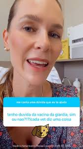 Quando a curiosidade fala mais alto: perguntando tudo sobre a piometra e  levando o veterinário ao limite!