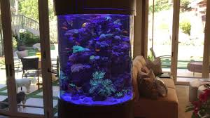 Star_border star_border star_border star_border star_border. Another Myfishtank Com Acrylic Aquariums Fish Tanks