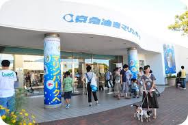 See more ideas about jujutsu, anime, jujitsu. ä¸‰æµ¦ã«è¡Œã£ã¦ãã¾ã—ãŸ äº¬æ€¥æ²¹å£ºãƒžãƒªãƒ³ãƒ'ãƒ¼ã‚¯ Crea Cafe