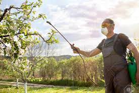 Maybe you would like to learn more about one of these? Agricultural Worker Spraying Pesticide On Fruit Trees Stock Photo Picture And Royalty Free Image Image 76070452