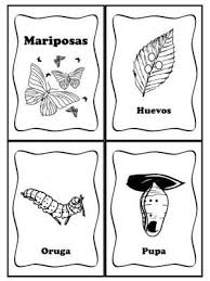 Pin On Teaching Spanish To Children
