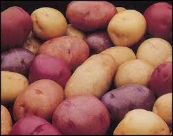 Does well in long term storage. Growing Potatoes 7 Different Methods From Organic Magazine By Doug Hall The Farm