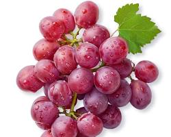 Image of bunch of red grapes symbolizing fertility and abundance