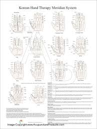 Korean Hand Therapy Meridian Wall Chart