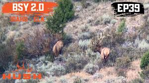 The elk stack is an acronym for a combination of three widely used open source projects: Bsy Spot And Stalk Archery Elk Hunt S2e39 Youtube
