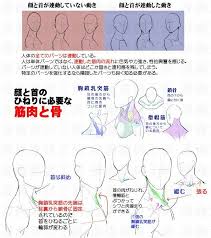 顔 参考 おしゃれまとめの人気アイデア pinterest كايو تشان 解剖例 描画チュートリアル 顔のスケッチ