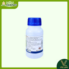 Pyanchor 5EC