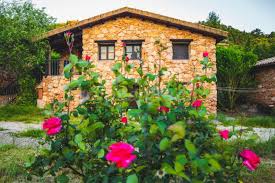 Cabañas y casas rurales con encanto en riópar (provincia de albacete). Cabanas Del Rio Mundo Casa Rural En Riopar Albacete