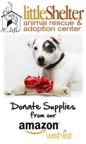 Thinking about adopting a pet? 180 Little Shelter Huntington Ny Ideas Animal Rescue Shelter Rescue
