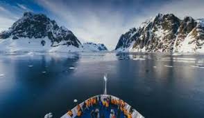 10 Best Falkland Islands Tours & Trips from Ushuaia - TourRadar
