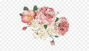 Flores Flores Flores Tumblr Estetica Flor Vintage Png Rosa Clipart Vintage Flowers Flowers Clip Art