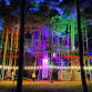 Sundown Adventures at Go Ape Grizedale event image