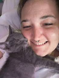 Kittens rescued from car engine