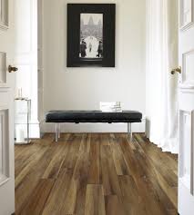 Find all the hallway storage ideas on houzz hallway decorating ideas halls, hallways and entrance spaces are usually the first space to be seen when someone enters the house, and first impressions count, so it's no wonder there are tons of great hallway decorating ideas to help you make this area of your house impressive. 75 Beautiful Vinyl Floor Hallway Pictures Ideas August 2021 Houzz