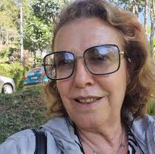 Revista Conexão Literatura...