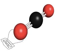 just straight up cheeks full on out 😭 how is this fitness content  @ripped_fam : rgymsnark