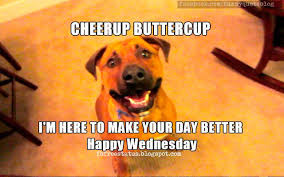 You've got a distinctive style! 260 Wednesday Humor Ideas In 2021 Wednesday Humor Wednesday Quotes Wednesday