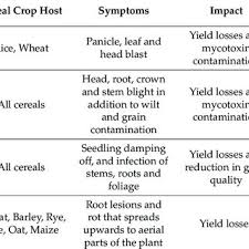 Pdf Biocontrol Of Cereal Crop Diseases Using Streptomycetes