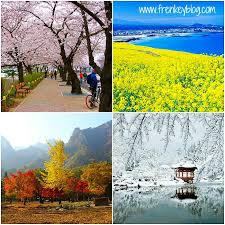 We did not find results for: Pengalaman Travelling Keliling Korea Selatan Updated 2020