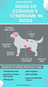 Pin On General Dog Care Tips Helpful Tips For Dogs