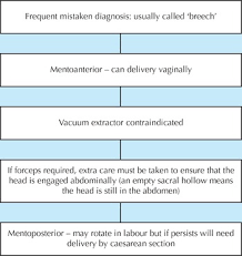 Image result for Face Presentation