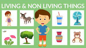 Find a bunch of pictures of living and nonliving things to make a collage of each and learn a little about classifying them as such. Living And Non Living Things For Kids Living Things Non Living Things Youtube