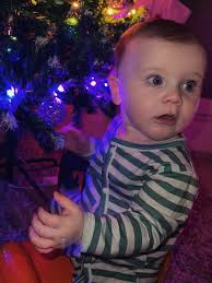 Daniel Frew（@adventureswithdan_radguy）的照片· 2025年12月29日