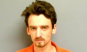 Rooftop burglar pleads guilty, sentenced