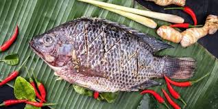 Nomor 09 ikan paus angka pelarian nomor 21 ikan mas gaya baru nomor 30 ikan mas. 8 Manfaat Ikan Nila Yang Diperlukan Untuk Kesehatan Tubuh