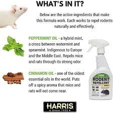 Setting traps or ask for an exterminator's help gives the much more effective result. Does Peppermint Oil Repel Mice And Rats
