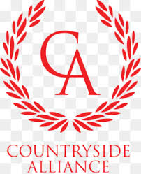 Militi o hai militato tra il 1998 ad oggi in una società veronese? Hellas Verona Fc Png And Hellas Verona Fc Transparent Clipart Free Download Cleanpng Kisspng