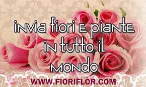 Leader nella vendita di fiori e piante con consegna a domicilio a genova. Consegnare Fiori