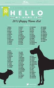 Stunning male long coated males. Top Dog Names For 2013 Puppy Names Popular Dog Names Dog Names